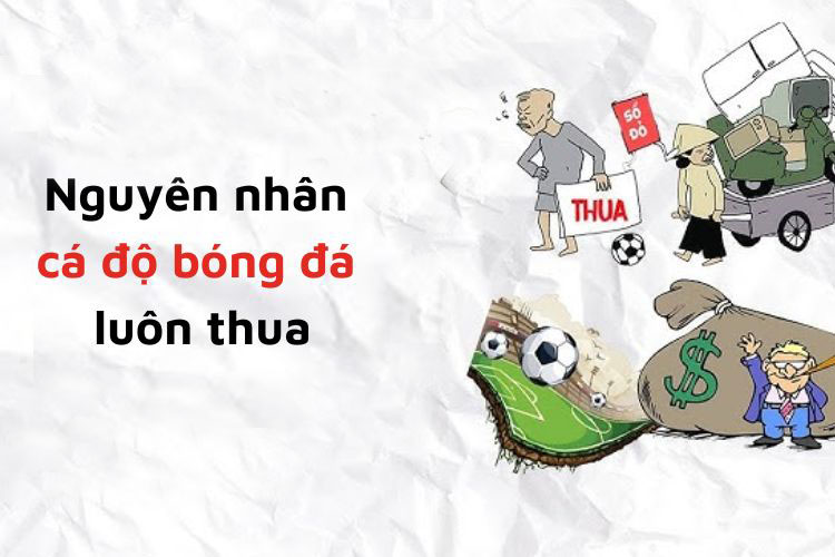 nguyên nhân cá độ bóng đá luôn thua